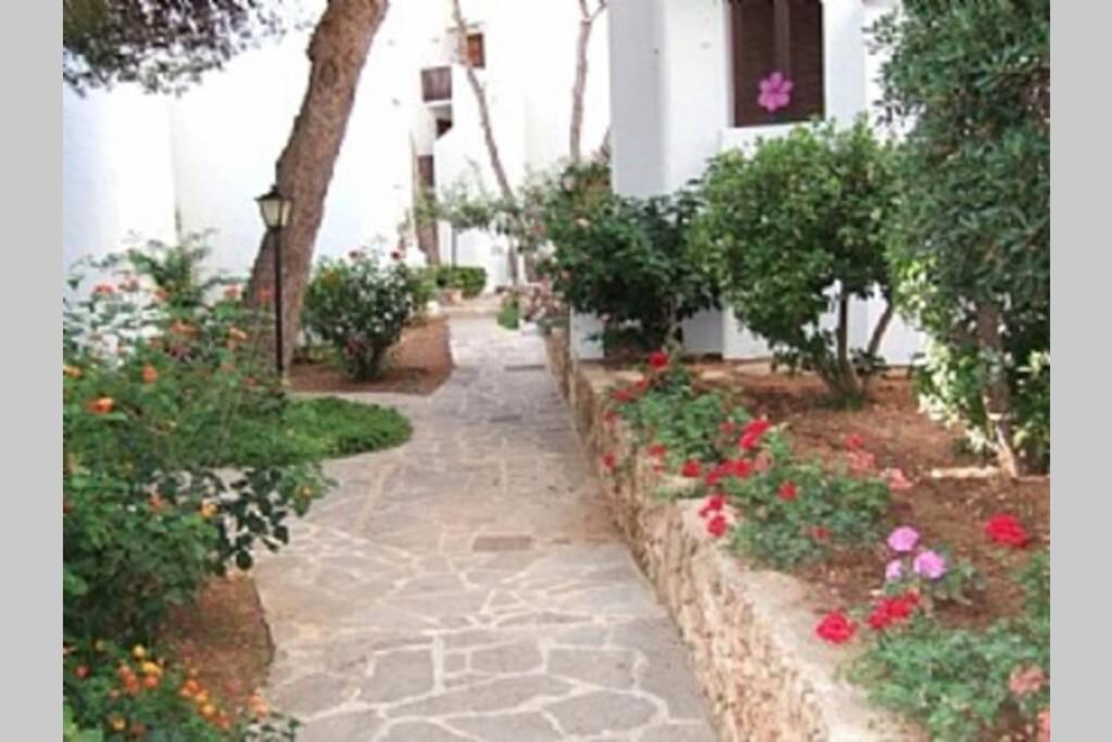 סנטני Sea Frontline Apartment 'Ernesto'. Pool. Wifi מראה חיצוני תמונה